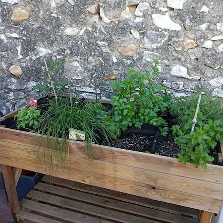 Maison De Village Terrasse 35m2 *