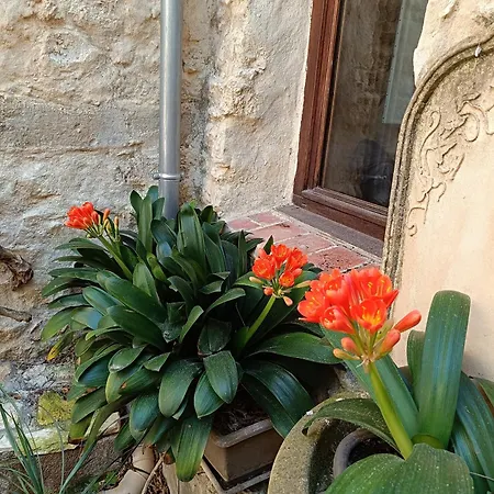 Maison De Village Terrasse 35m2 Dions