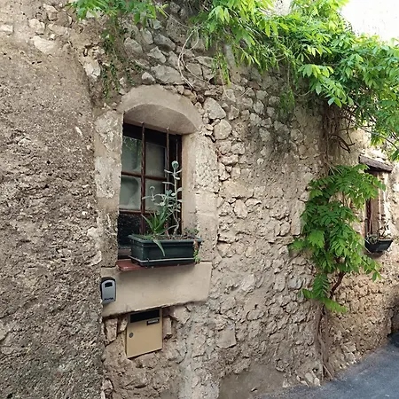Dom wakacyjny Maison De Village Terrasse 35m2 *